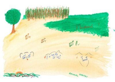 Animal Habitat